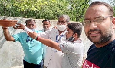 बेजुबान पक्षियों के लिए लगायें परिण्डे