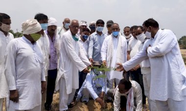 कॉंग्रेस कार्यकर्ताओं ने वृक्षारोपण ए़ंव फल वितरण कर मनाया राहुल गांधी का जन्मदिन