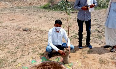 101 पौधे लगाकर मनाया कांग्रेस कमेटी के पूर्व राष्ट्रीय अध्यक्ष राहुल गांधी का 51वां जन्मदिन