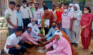 मीरका बसी राजकीय विद्यालय में हरियाला राजस्थान के तहत किया गया पौधारोपण