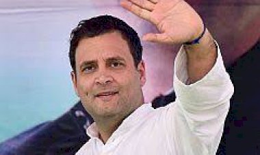 आमजन की सेवा कर मनाया राहुल गांधी का जन्मदिन