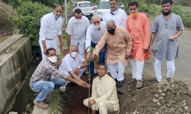 विजय सिंह पथिक नगर के निर्माणाधीन भवन मे किया गया पौधारोपण