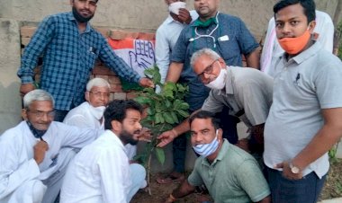 राहुल गांधी के जन्मदिन पर काॅग्रेसियाे ने किया पाैधाराेपण, एक साै पाैधे लगाने का लिया संकल्प