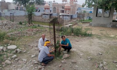 मंदिर प्रांगण पर पर्यावरण सरंक्षण के लिए किया गया वृक्षारोपण
