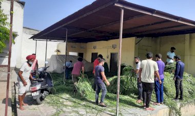 पुर में निर्जला ग्यारस पुर S B G S S गौ रक्षा दल का होगा बड़ा आयोजन