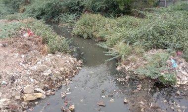 अनदेखी की इंतहा जहाजपुर की गंगा बनी गंदा नाला