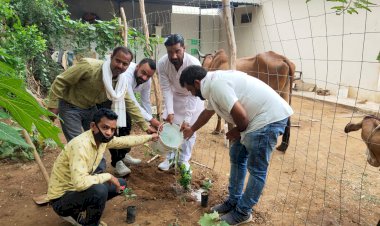 जनजाति मोर्चा प्रदेश उपाध्यक्ष अशोक मीणा एक दिवसीय प्रवास के दौरान पहूँचे भीलवाड़ा, पौधारोपण कर किया मास्क का वितरण