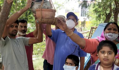 पेड़ पौधों पर पक्षियों के कलरव से मिलता है सकून. .........मंगल चंद सैनी