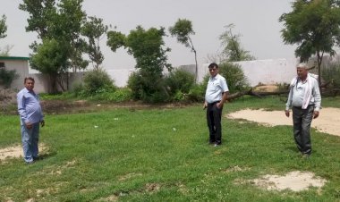 अडाेली का पंचायत समिति ने नर्सरी हेतु किया चयन