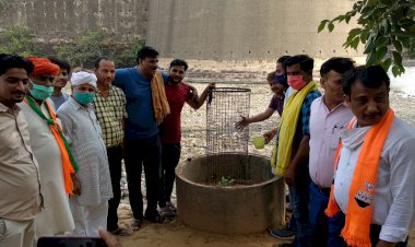डॉक्टर मुखर्जी की स्मृति में भाजपा कार्यकर्ताओं ने किया पौधारोपण