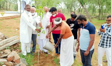 काली माता मंदिर पर पौधारोपण कार्यक्रम हुआ आयोजन