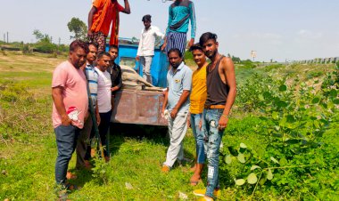 अज्ञात  वाहन की टक्कर से गो वंश घायल
