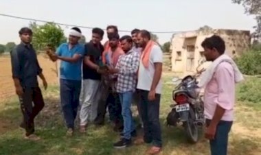 90 फिट गहरे कुए में गिरा राष्ट्रीय पक्षी मोर, ग्रामीणों जान की बाजी लगाकर किया रेस्क्यू बचाई जान