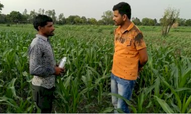 किसान संगोष्ठी में फसलों को कीटो से बचाने की जानकारी