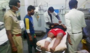 सिंह द्वार पर आए दिन गौतस्करी, राजस्थान और हरियाणा की सीमा पर चल रही गौतस्करी