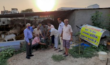 अपना घर भरतपुर की स्थापना दिवस पर वृक्षारोपण के साथ लगाए परिंडे, गौशाला में गायों को खिलाया गुड़