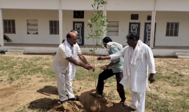 भोड़की जमाय माता मंदिर परिसर में किया वृक्षारोपण