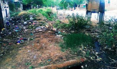 पाटन अहीर बस स्टैंड पर हो रहा गंदगी का बसेरा