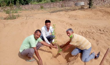 पूर्व मंत्री एवं झुंझुनूं विधायक बृजेन्द्र सिंह ओला के जन्मदिन पर किया वृक्षारोपण