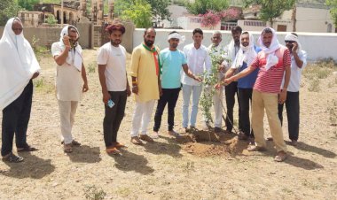 माधोगढ़ में भाजपा के वरिष्ठ नेता धर्मपाल गुर्जर के जन्मदिन पर कार्यकर्ताओं ने लगाए पौधे
