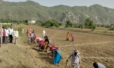 जलग्रहण विकास एवं भू संरक्षण विभाग द्वारा मनरेगा कार्य का किया शुभारंभ