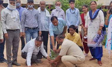 सेवानिवृत्त सीबीईओ उदयपुरवाटी  कालूराम रैगर का पापड़ा में हुआ सम्मान