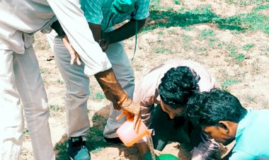 एनएसयूआई ने मनाया भरतपुर युवराज अनिरुद्ध सिंह का जन्मदिन