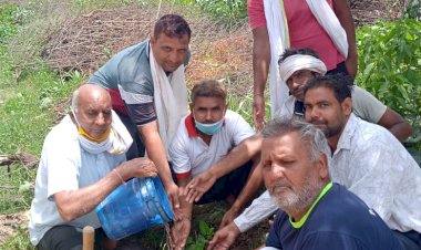 जिलाध्यक्ष संजय नरूका के जन्म दिवस पर भाजपा कार्यकर्ताओं ने किया पौधारोपण