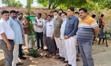 खेरली नगर पालिका अध्यक्ष संजय गीजगडिया की अध्यक्षता में कर्मचारियों व पार्षदो ने किया वृक्षारोपण