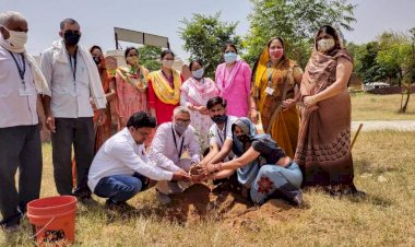 पचलंगी राजकीय बालिका उच्च माध्यमिक विद्यालय के प्रांगण में किया गया पौधारोपण