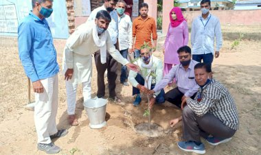 बापू वन कार्यक्रम के तहत स्कूलों में किया पौधारोपण
