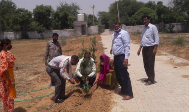 पर्यावरण को सुरक्षित रखने हेतु जालाका मिडिल स्कूल में किया पौधारोपण