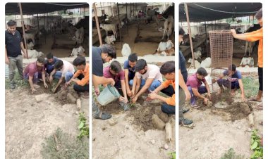 अखिल भारतीय विद्यार्थी परिषद के 73 वे स्थापना दिवस पर किया वृक्षारोपण