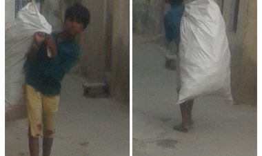 कचरे में सिमटती नौनिहालों की जिंदगी, जिन हाथों में किताबें होनी चाहिए वो आज ढो रहे बोझा