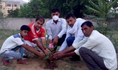 मोलश्री का पौधा लगाकर की मानसून की मनोकामना