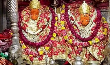 मां शाकंभरी सेवा समिति सकरा धाम के तत्वाधान में गायों को हरा चारा व बंदरों को खिलाए जाएंगे केले