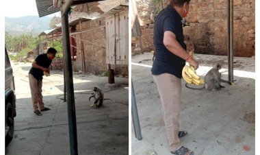 मां शाकंभरी सेवा समिति सकराय धाम के तत्वाधान में गुप्त नवरात्रा आरंभ किया जाएगा गजरा व भंडारा भोग का अर्पण