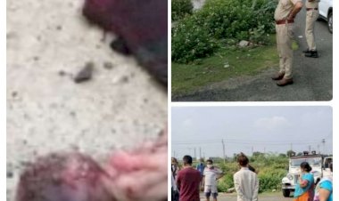 कपड़े से लिपटा नाली में पड़ा मिला भ्रूण, मचा हड़कम्प