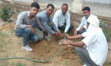 विद्यालय परिसर में पौधारोपण कर अध्यापकों ने पेड़ों की देखभाल करने की उठाई जिम्मेदारी