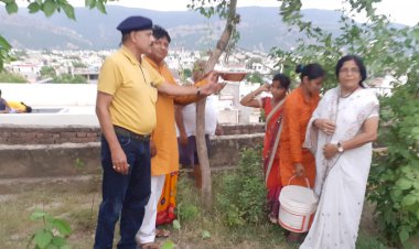 अंतर्राष्ट्रीय शाकाहार संस्थान द्वारा लगाए गए विभिन्न किस्म के पौधे