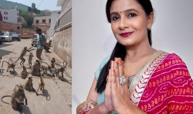 मां शाकंभरी सेवा समिति सकराय धाम के तत्वाधान में गायों को हरा चारा व बंदरों को खिलाया केला