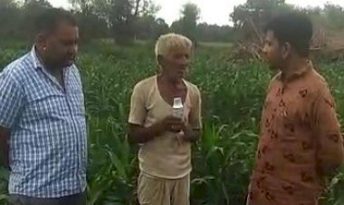 फसलों को कीटों से बचाने के लिए योद्धा प्लस दवा का करें इस्तेमाल, फिल्ड प्रर्दशनी में दी जानकारी