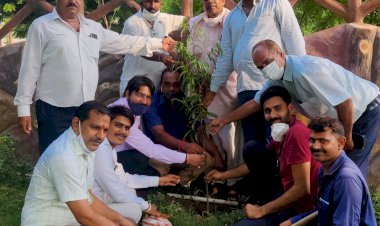 भाजपा किसान मोर्चा द्वारा किया गया पौधारोपण रखरखाव का लिया जिम्मा