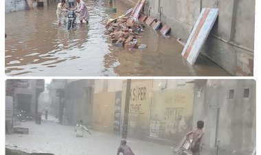 कामा में झमाझम बारिश के बाद मिली गर्मी से निजात  संभाग में सर्वाधिक 90 एमएम वर्षा की गई रिकॉर्ड