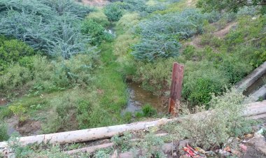 दूषित जहरीले पानी से बदली नदी की जैव विविधता, वन्य जीवों में रोग फैलने की आशंका