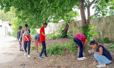 लाड़ो सेवा फाउंडेशन ने किया गाजर घास का सफाया