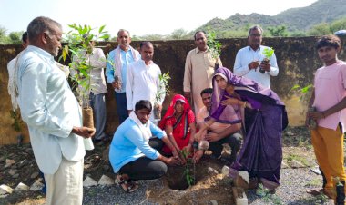 मुक्ति धाम दीपपुरा व चंवरा में पंचायत ने पौधारोपण अभियान के तहत लगाए 200 फलदार पौधे