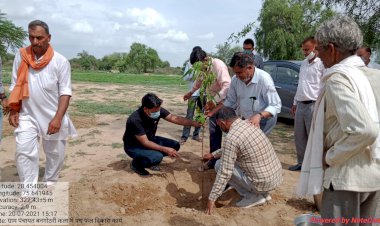 सीईओ जयप्रकाश नारायण ने झुंझुनू को हरियाला बनाने के लिए किया वृक्षारोपण