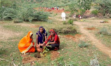 पौख में 400 पौधारोपण का सरपंच ने लिया जिम्मा