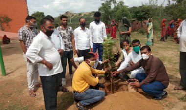 उदयपुरवाटी बागोरा ग्राम पंचायत राजकीय घांघला की ढाणी में किया पौधरोपण